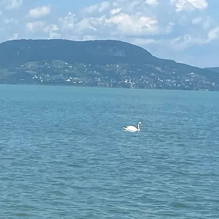 Vakantiehuis Lipi - Away From *