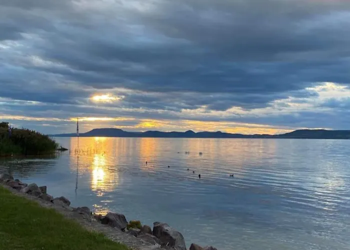 Lipi - Away From Vakantiehuis