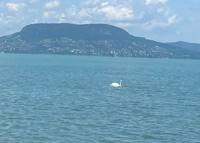 Nyaraló Lipi - Away From *